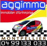 Restaurant  Cap d'Agde droit au bail licence 4
